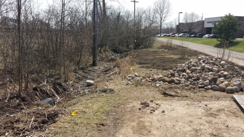 Winton Rain Garden 2014 (6)